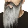 Bigote Y Barba Larga Desde La Patilla Gris -Complementos Ventas bigote y barba larga desde la patilla gris