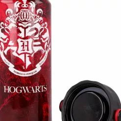Botella Termo Hogwarts 530ml - Harry Potter -Complementos Ventas botella termo hogwarts 530ml harry potter 1