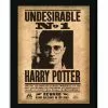 Cartel Enmarcado Indeseable N°1 Harry Potter -Complementos Ventas cartel enmarcado indeseable n1 harry potter