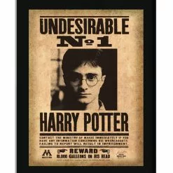 Cartel Enmarcado Indeseable N°1 Harry Potter