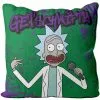 Cojín Rick & Morty -Complementos Ventas cojin rick morty