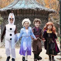 Disfraz De Elsa Frozen 2 Deluxe Para Niña -Complementos Ventas disfraz de elsa frozen 2 deluxe para nina 6
