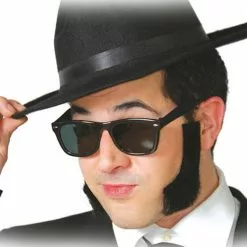 Gafas De Estrella Del Blues