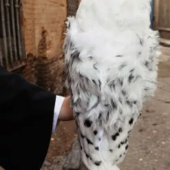 Peluche Grande De Hedwig La Lechuza Harry Potter 30 Cm -Complementos Ventas peluche grande de hedwig la lechuza harry potter 30 cm 3